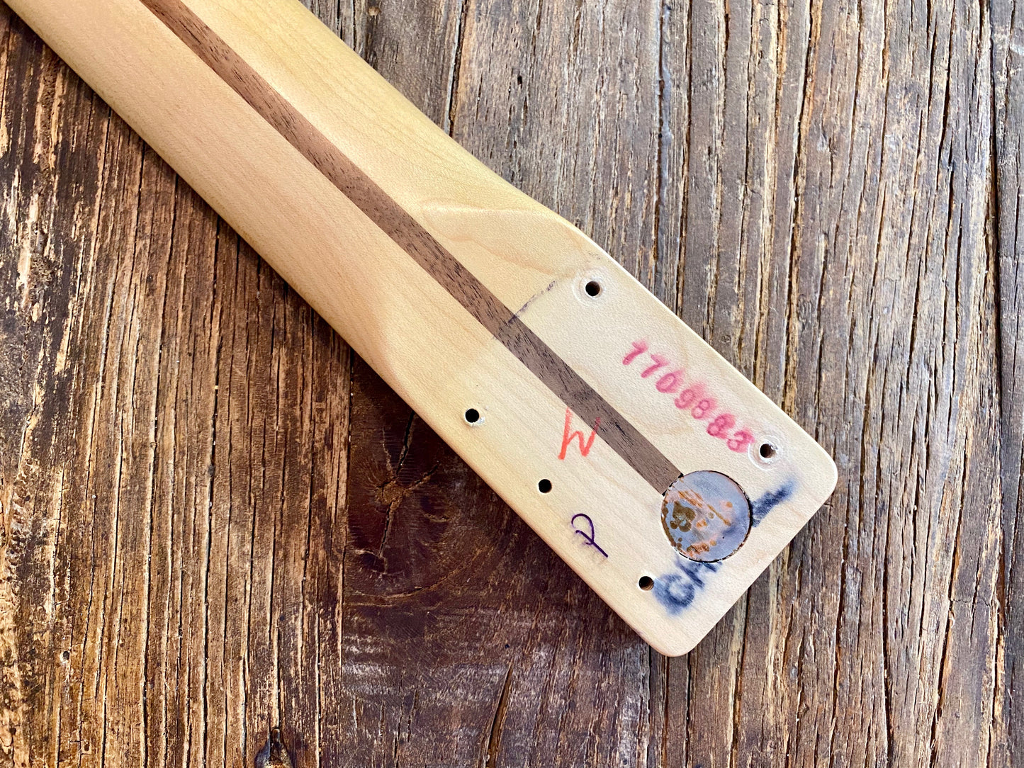 2016 Fender Standard Stratocaster Neck + Staggered Tuners | Maple, 22-Frets