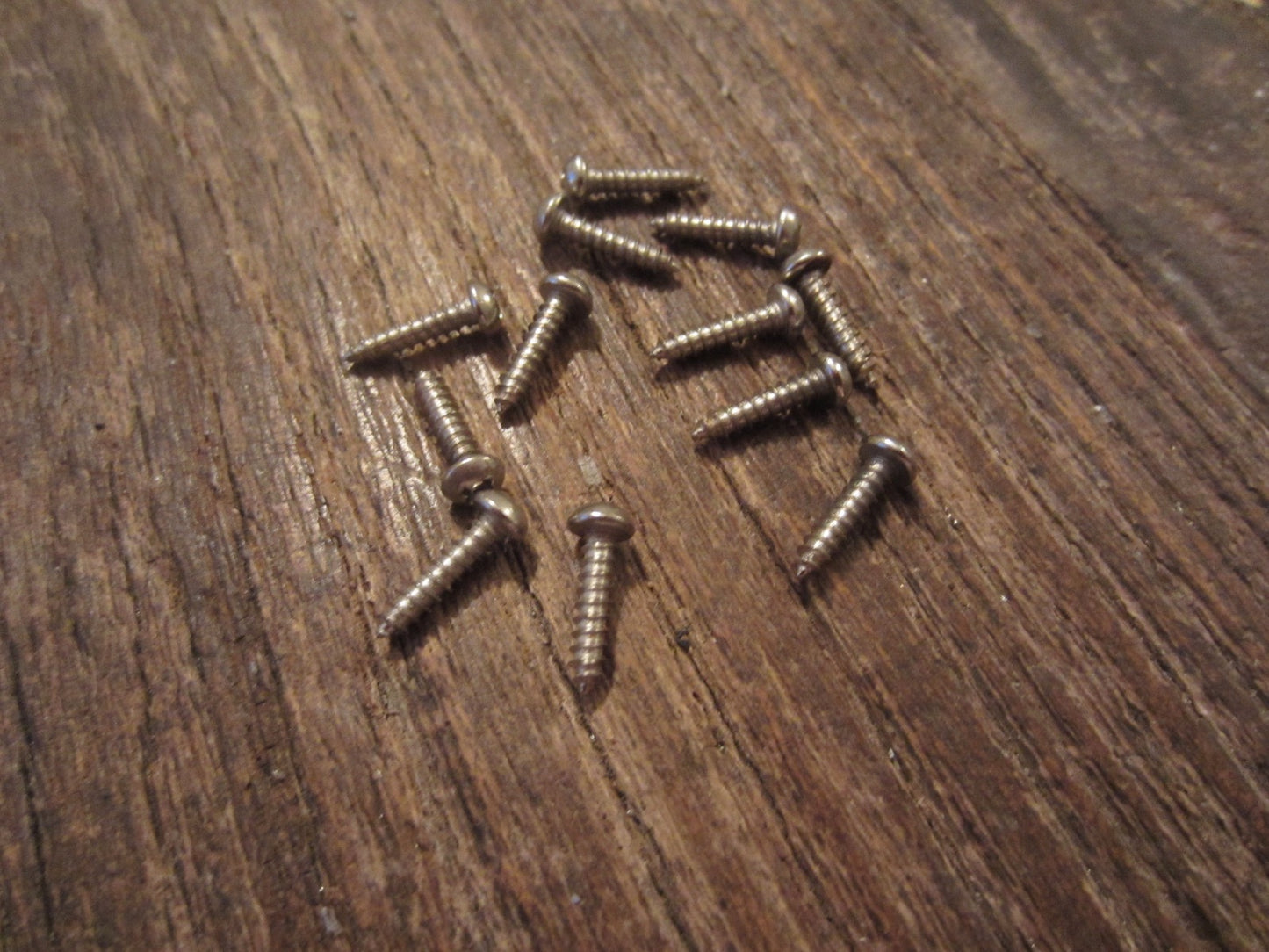 Lil' Huddy's Guitar Shop - Lil' Huddy's Guitar Shop